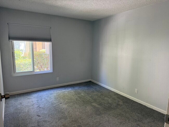 Building Photo - 13754 Mango Dr