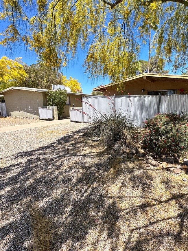 Building Photo - 1233 E Drachman St