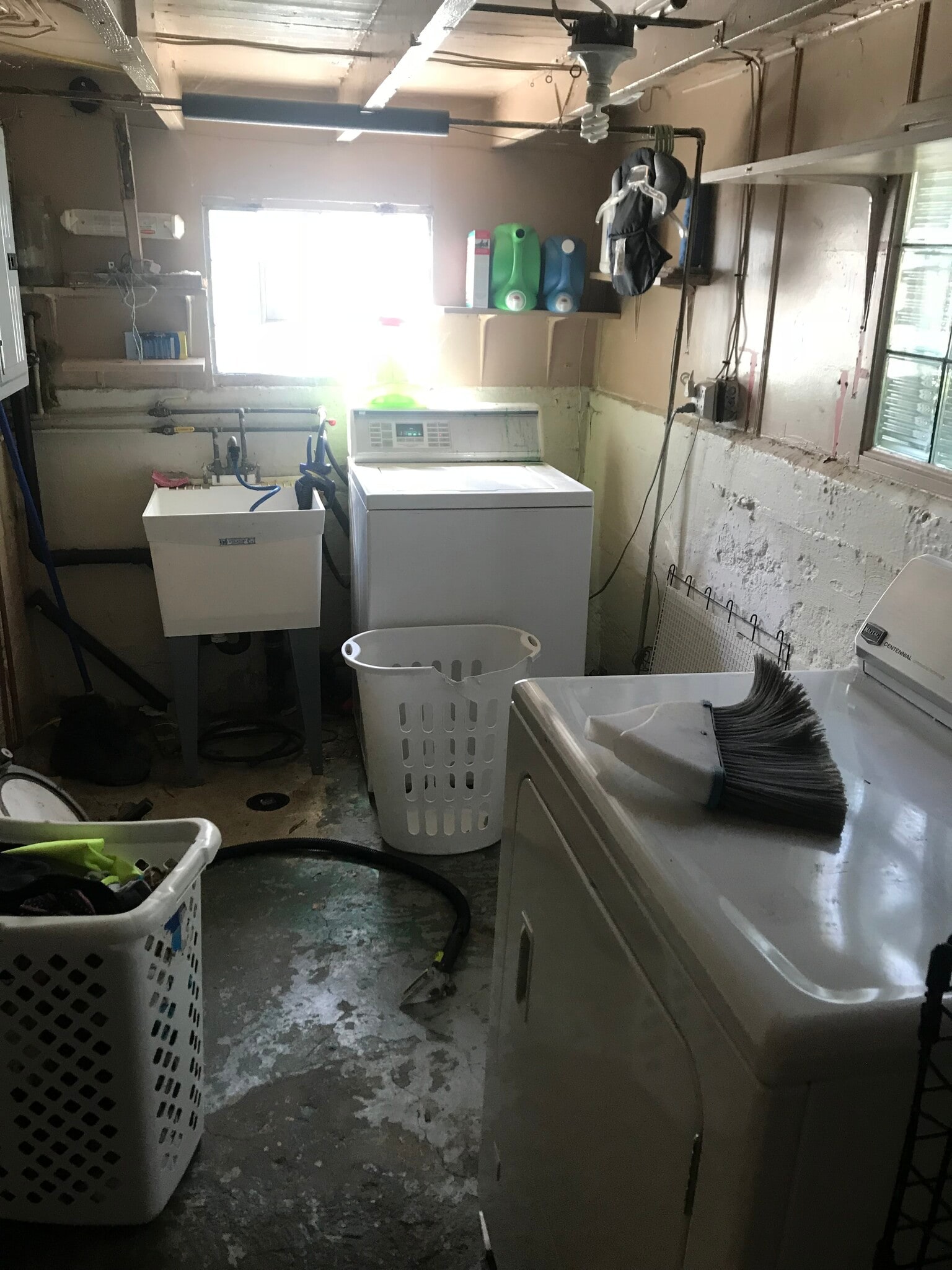 Building Photo - 3915 McWhinney St