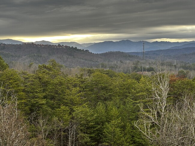 Building Photo - 2881 White Oak Mountain Rd