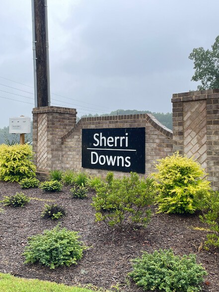 Building Photo - 540 Morning Lgt Dr