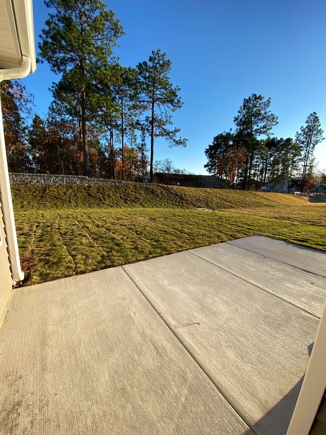 Building Photo - Brand New Build 5 Bed/3.5 Bath