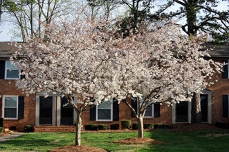 Building Photo - Kilborne Apartments