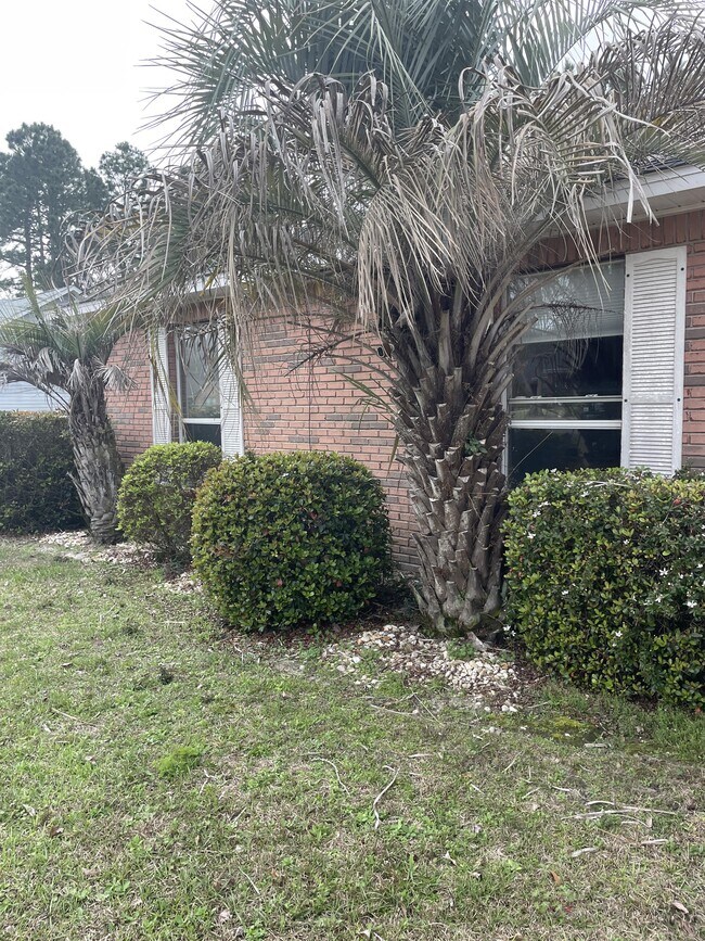 Building Photo - 2381 Hilton Dr