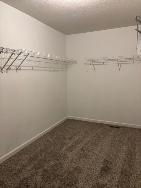 Building Photo - 28825 Cullen Dr