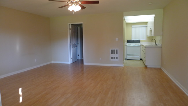 Living Area & Kitchen - Westlake Village