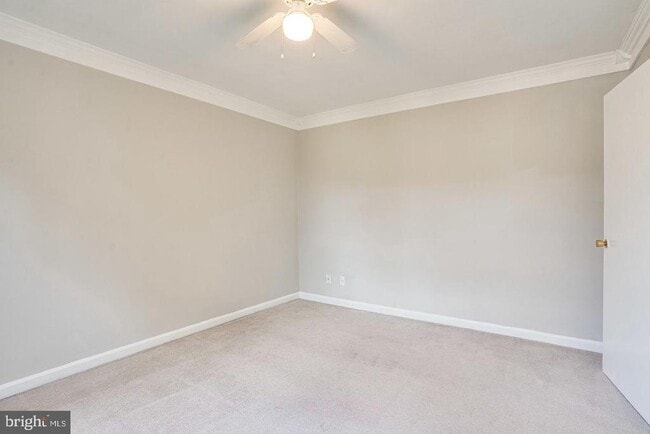 Building Photo - 2904 Willston Pl