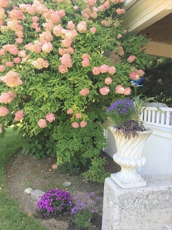 Building Photo - 35 Grafton St