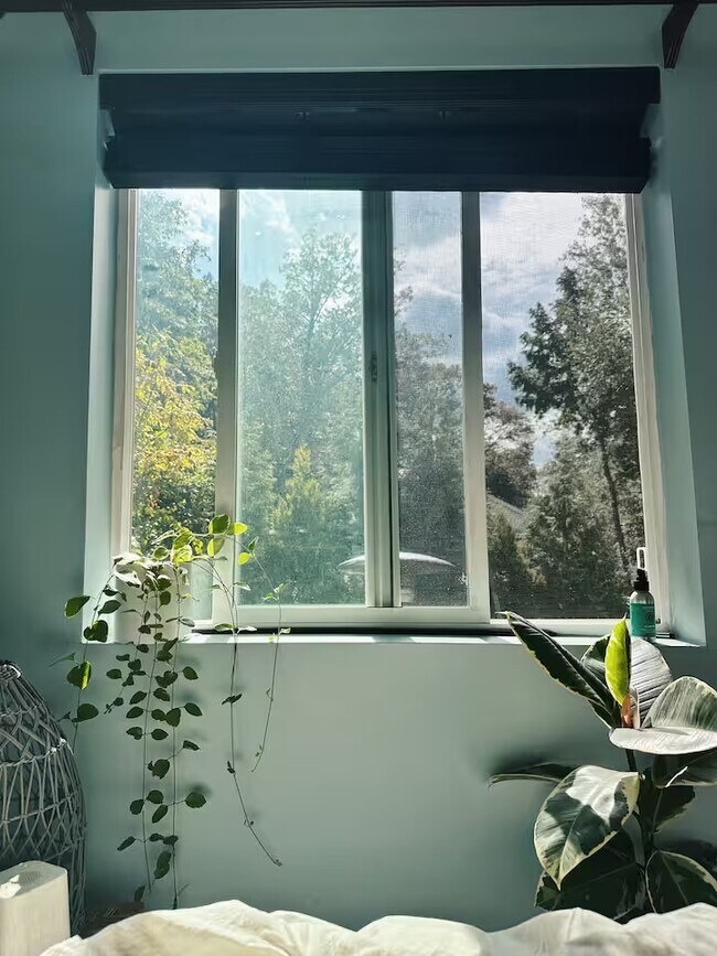 Building Photo - 14 Sterling Rd