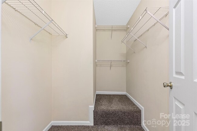 Building Photo - 3834 Thomas Ridge Dr