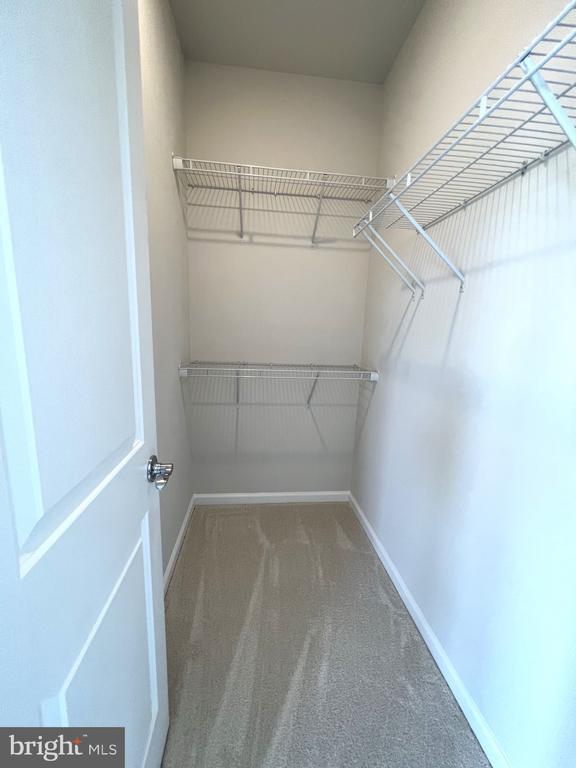 Building Photo - 15139 Jaxton Sq Ln