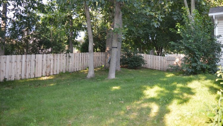 Building Photo - 6226 Adobe Way
