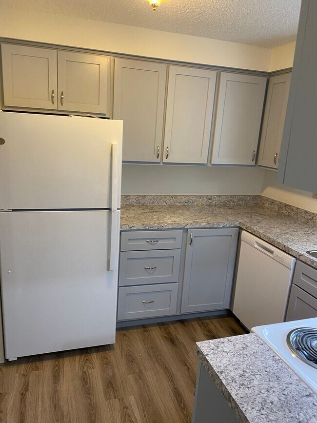 Building Photo - (905) Draper Arms Apartments - 2 Bedroom / 1 Bathroom (UPDATED)