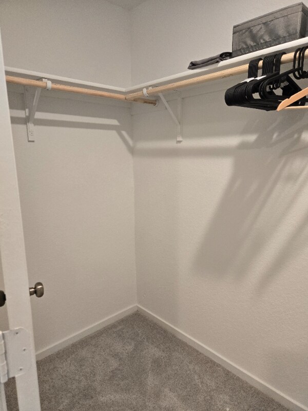 Building Photo - 7118 Shamrock Dome