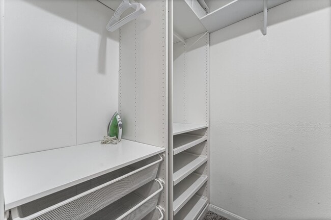 Building Photo - 3007 Magellan Ridge Ln