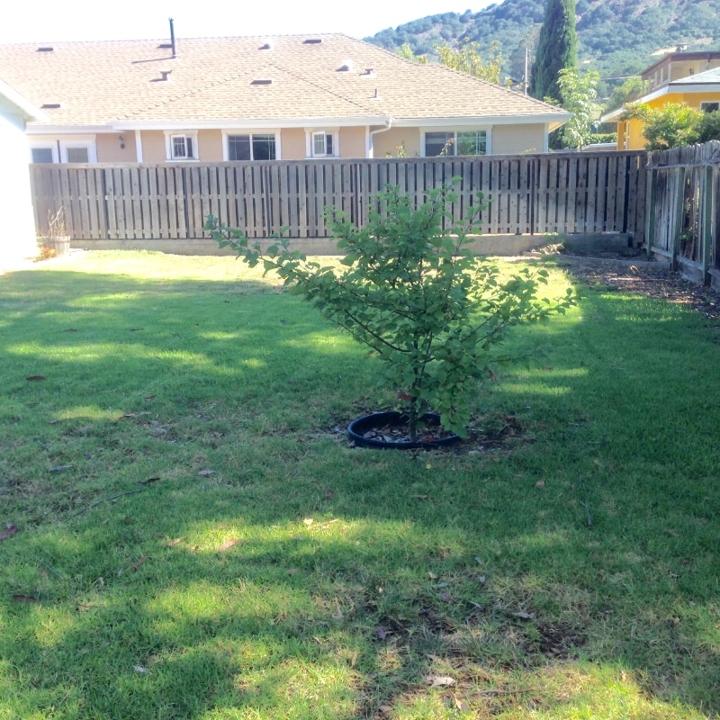 Building Photo - 140 Cuesta Dr