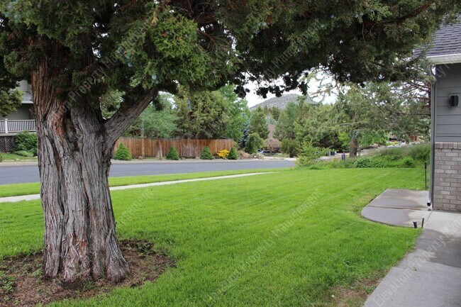 Building Photo - Spacious single-level 3 BR + office in NE ...