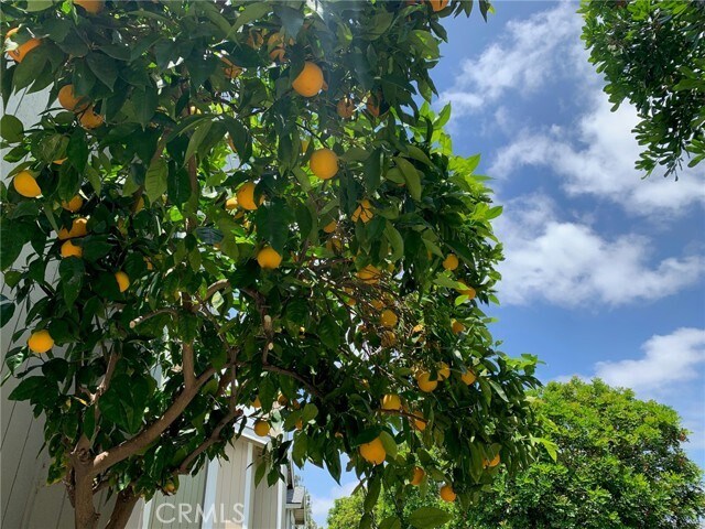 Building Photo - 78 Monroe