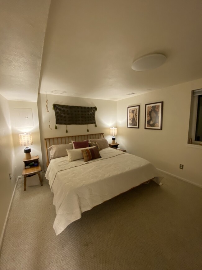 basement bedroom - 300 Southridge Pl