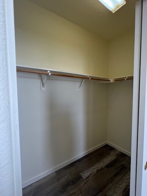 Building Photo - 309 Queencrest Ct