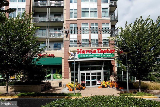 Building Photo - 1503 Lincoln Way