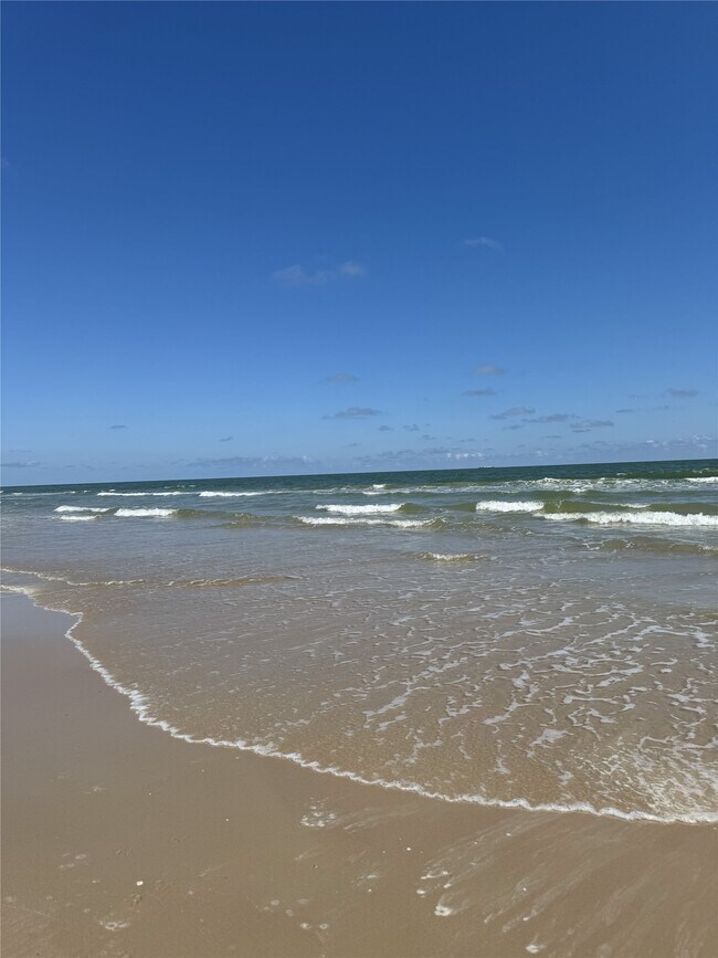 Building Photo - 3114 Shady Creek Ln