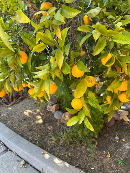 Building Photo - 3143 Neal Ave