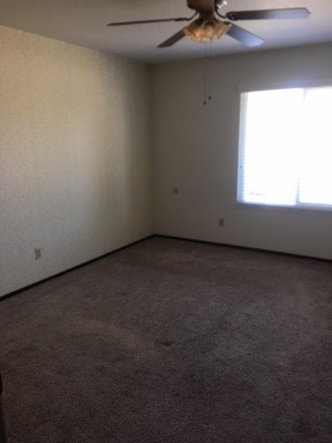 Building Photo - Single family house ready to be called home