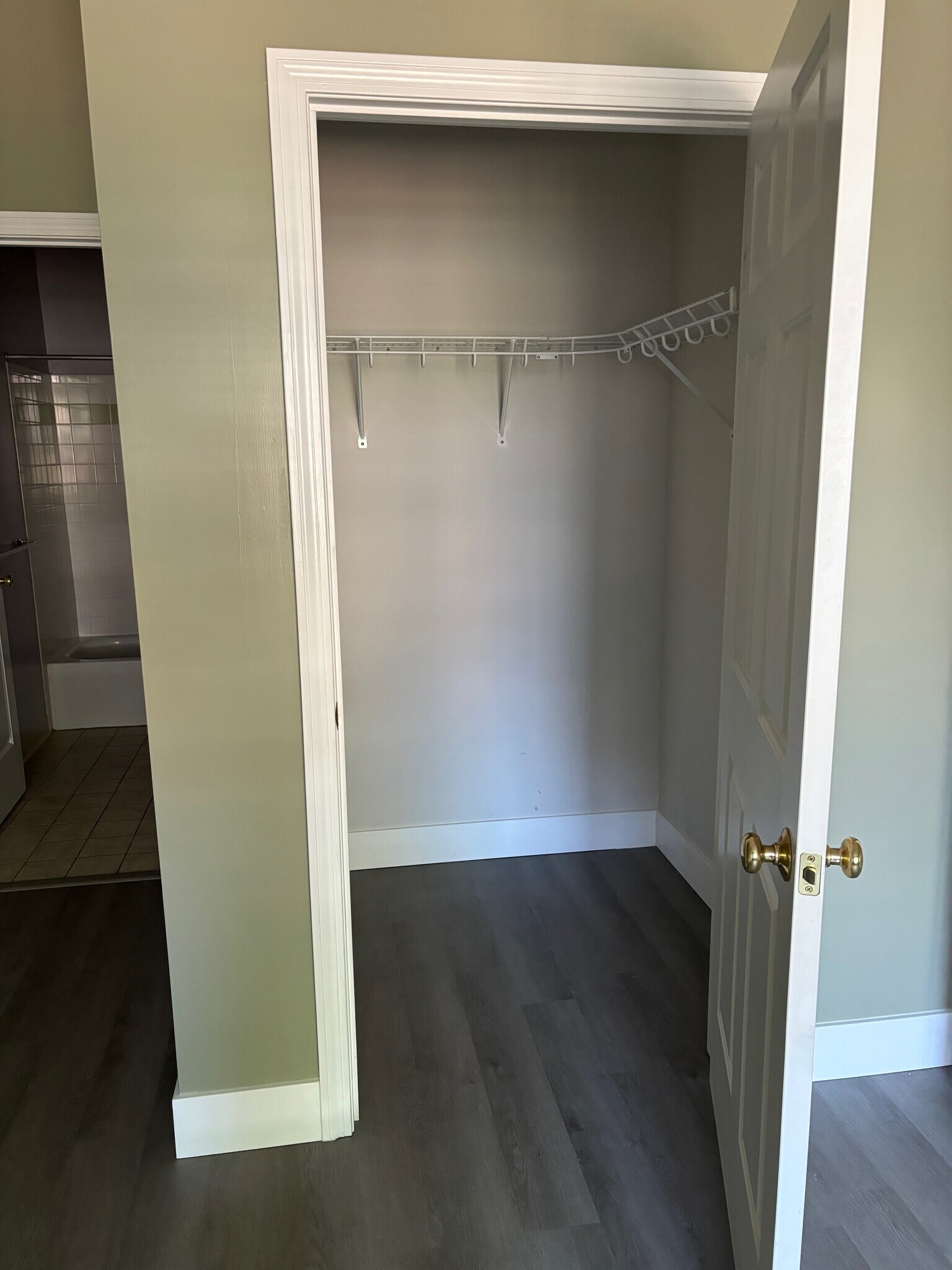 Primary bedroom walk-in closet - 96 Mill St
