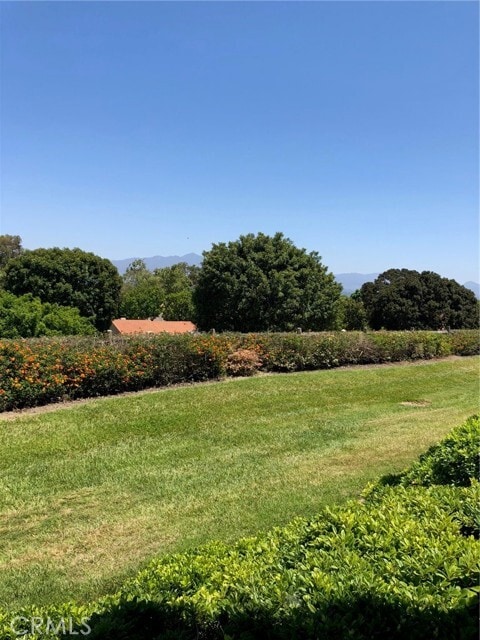 Building Photo - 4025 Calle Sonora Este