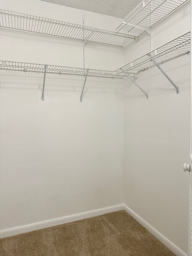 Building Photo - 2617 Cove Cay Dr