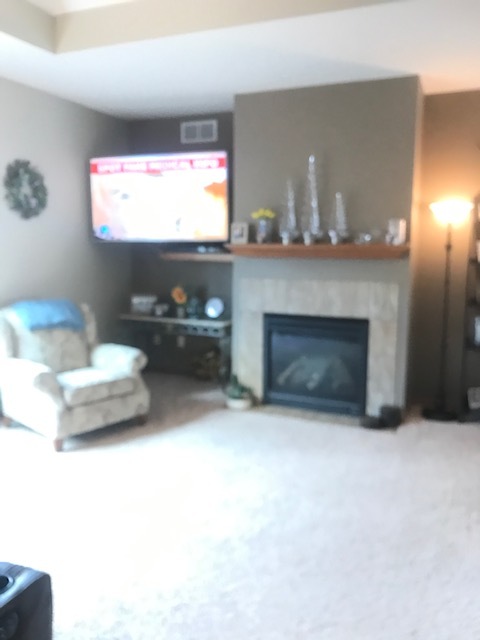 Gas fireplace - 368 E Travelers Trl