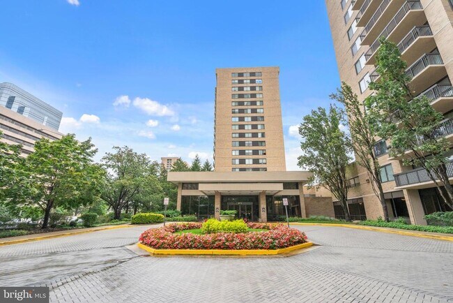 Primary Photo - 3709 S George Mason Dr