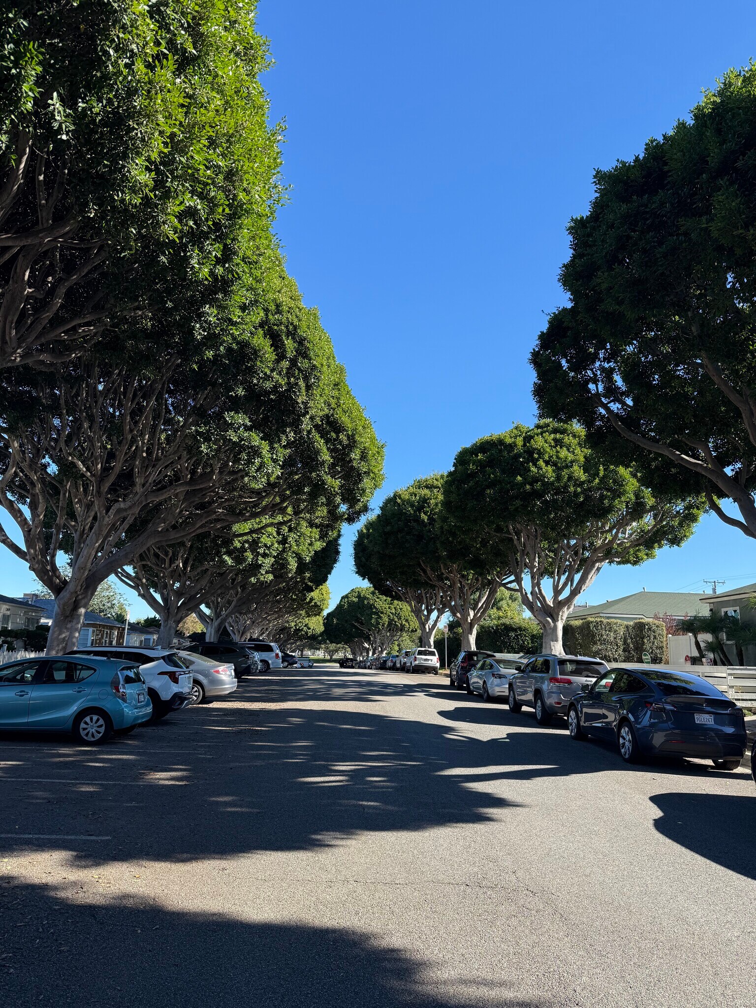 Oak St. - 2401 Oak St