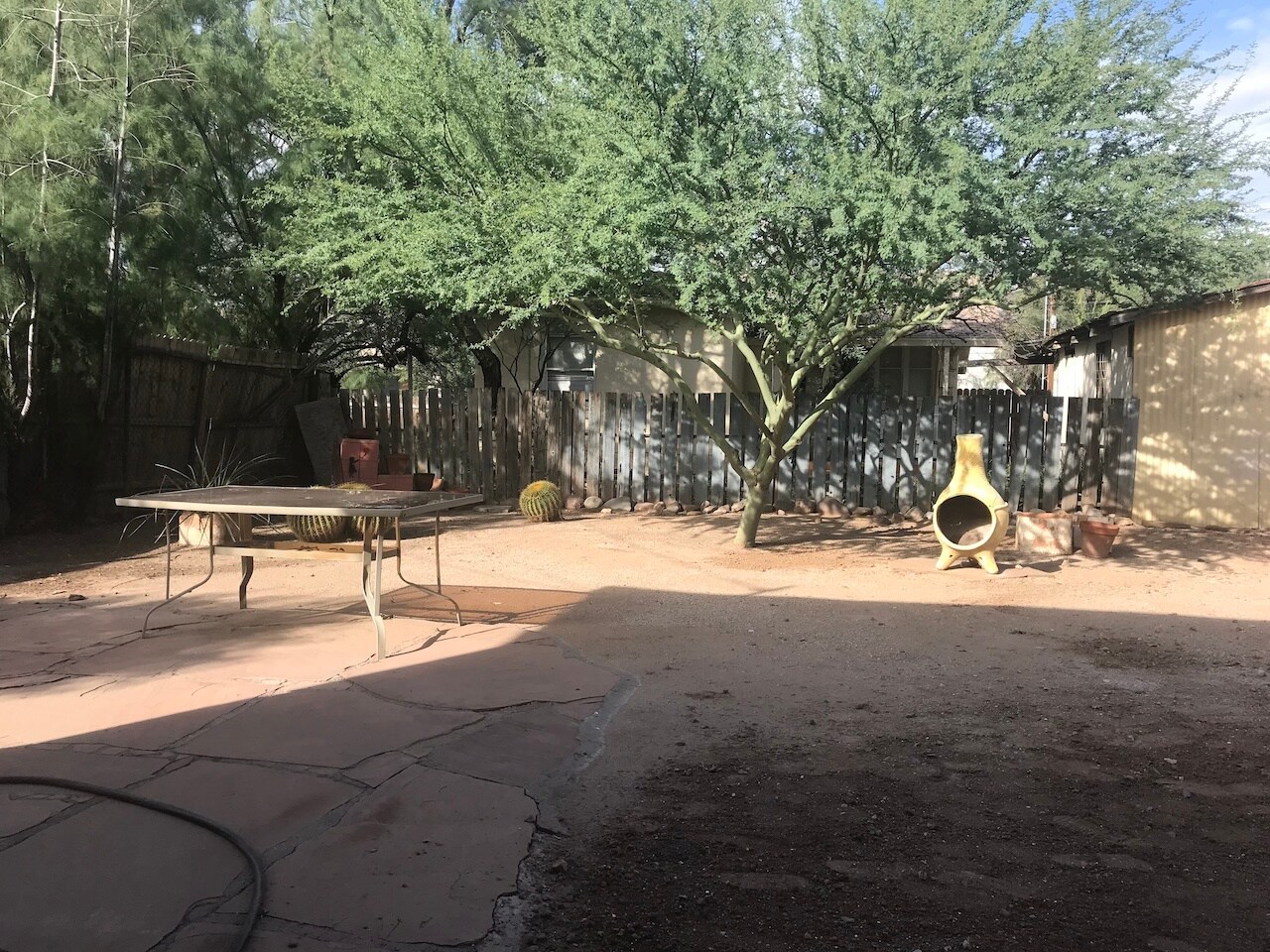 Backyard looking east - 525 N 1st Ave