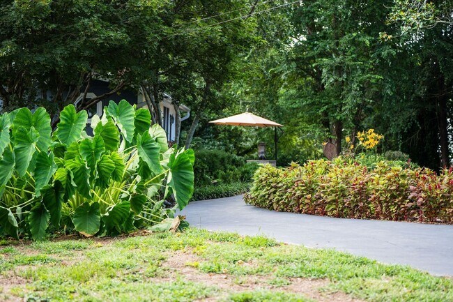 Building Photo - Gated versatile lifestyle property tucked into the heart of Tennessee’s most scenic countryside
