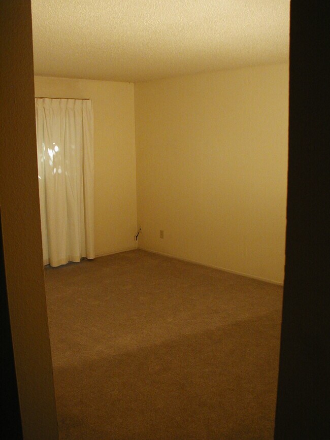 SECTION OF GOOD SIZED LIVING ROOM - 4220 N First St