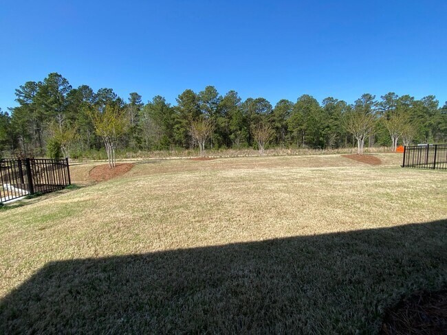 Building Photo - Brand new construction home in the desirable Brunswick Forest subdivision