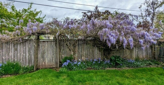 Building Photo - Great 3 bed/2bath home in Eugene