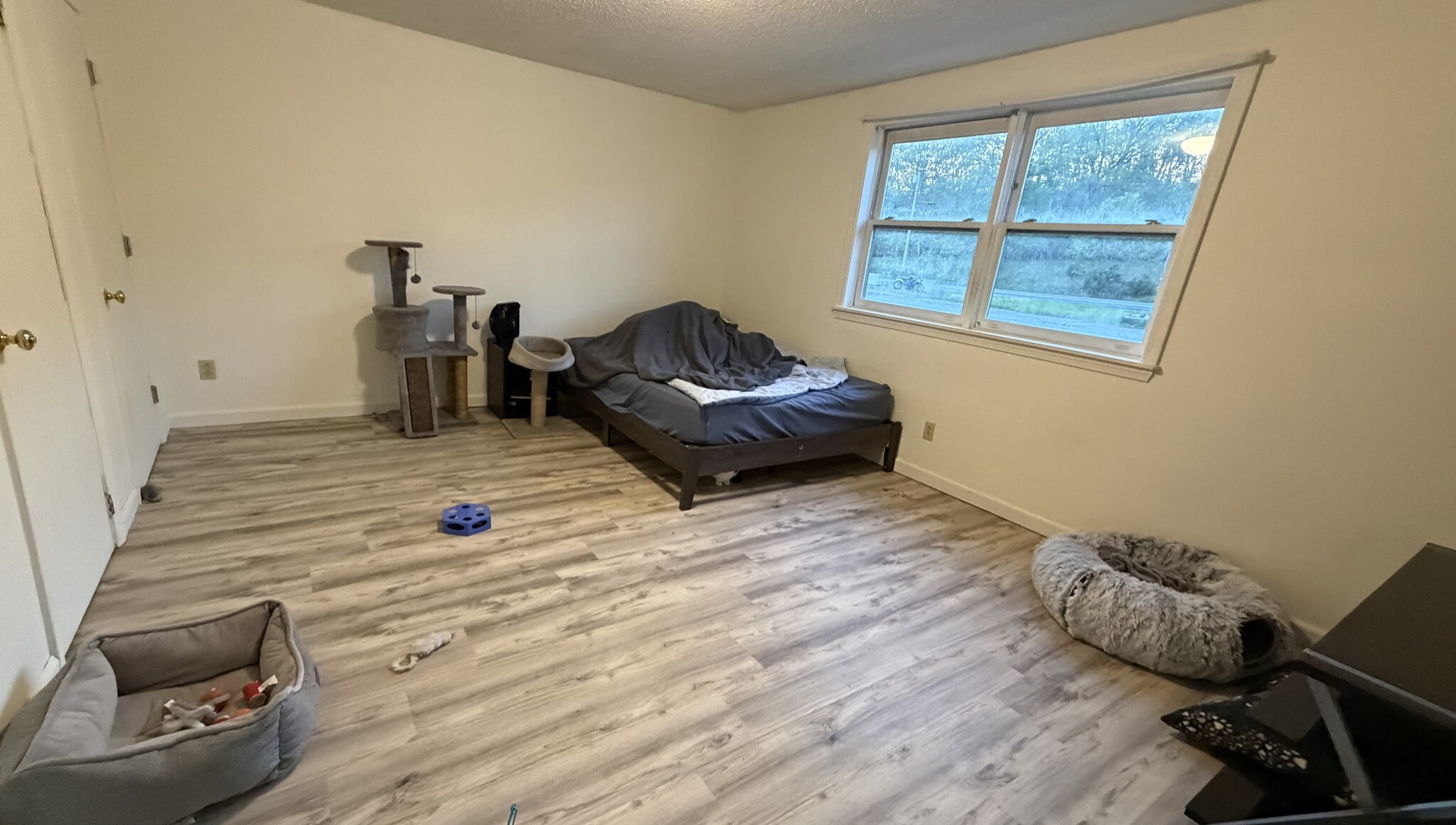 Bedroom - 1374 Bucksport Rd