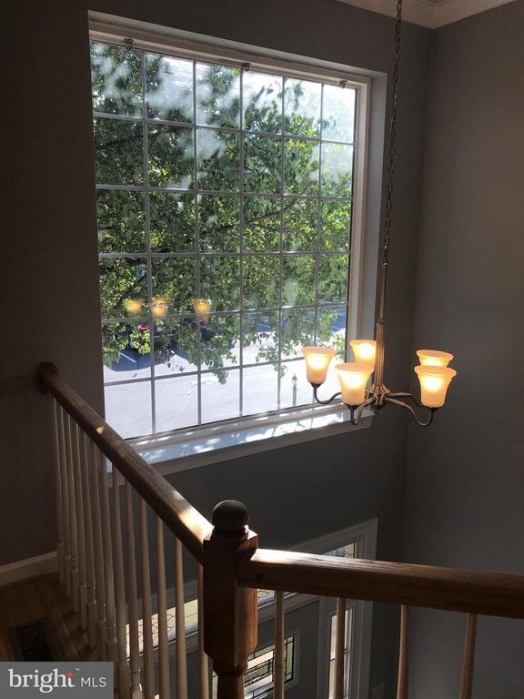 Building Photo - 3524 Rapid Ln