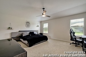 Building Photo - 822 Brown Thrasher