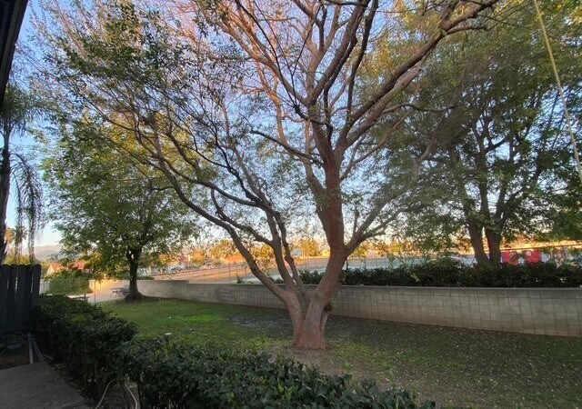 Building Photo - 1635 E Cypress St