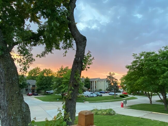 Primary Photo - 210 Mt Hope Ct