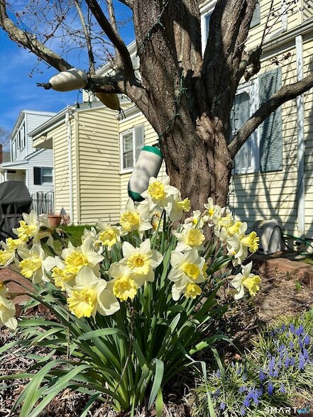 Building Photo - 40 Parkway S