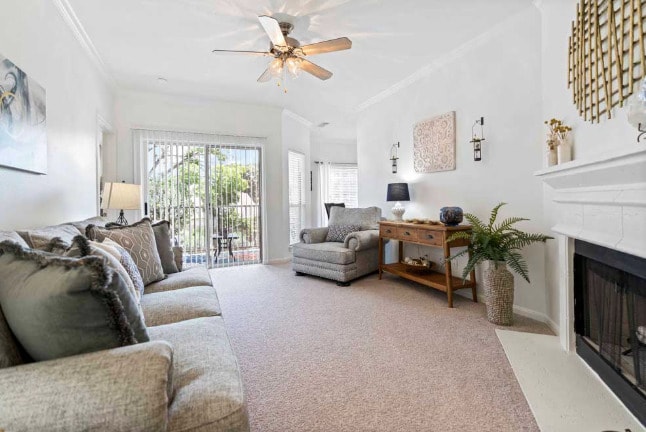 Building Photo - Open, Light, Inviting