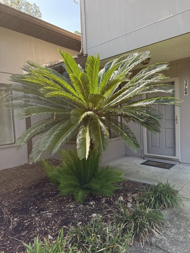 Building Photo - 3709 NW 58th Pl