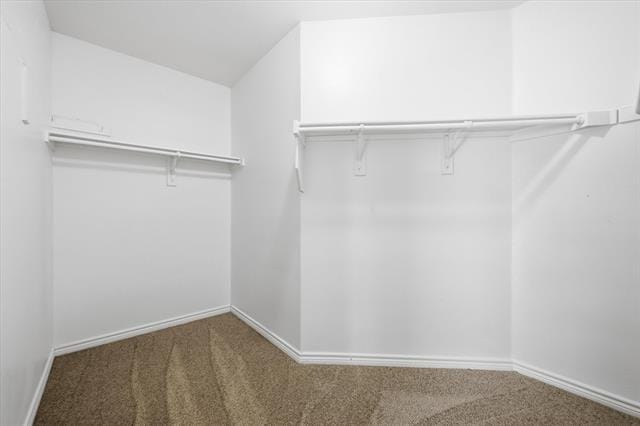 Building Photo - 2317 Scott Creek Dr