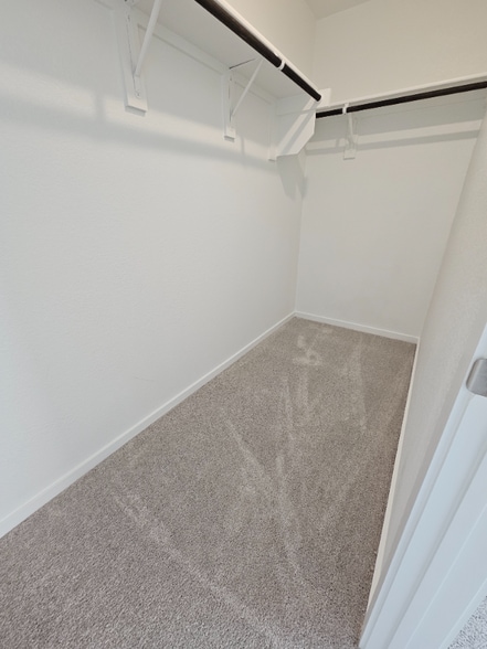 Building Photo - 302 Asterwood Ln