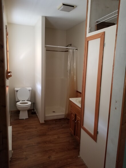 Master Bathroom - 1347 Mead Run Rd